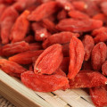 Hot sale organic goji berries with high quality